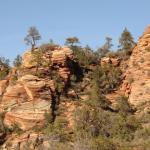 Zion Nationa Park - Utah